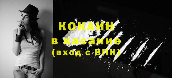 шишки Нязепетровск
