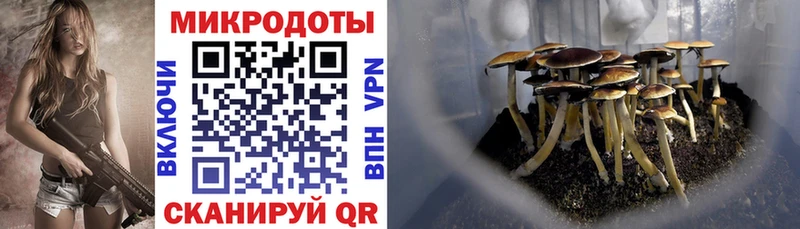 Галлюциногенные грибы MAGIC MUSHROOMS  это какой сайт  Миллерово 