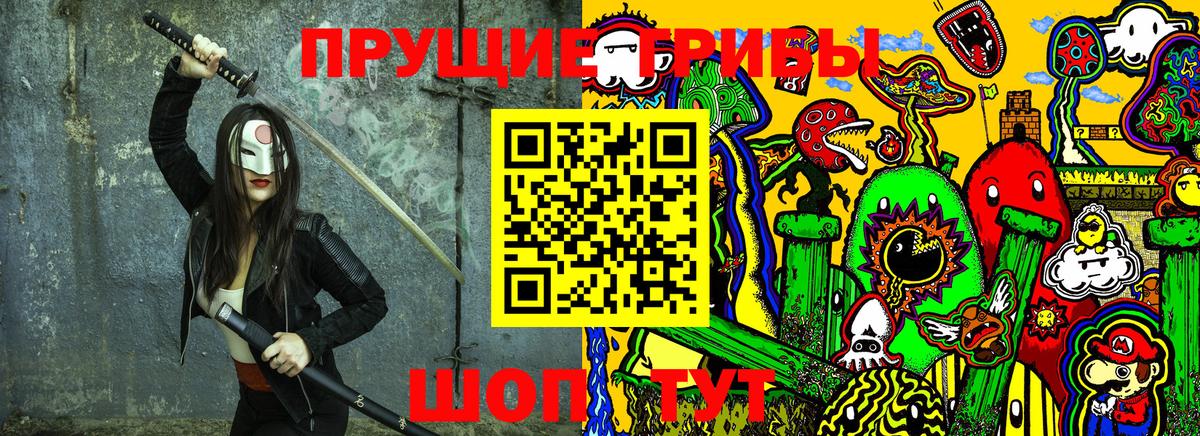 купить наркотик  Галлюциногенные грибы GOLDEN TEACHER  Миллерово  Галлюциногенные грибы Psilocybe 